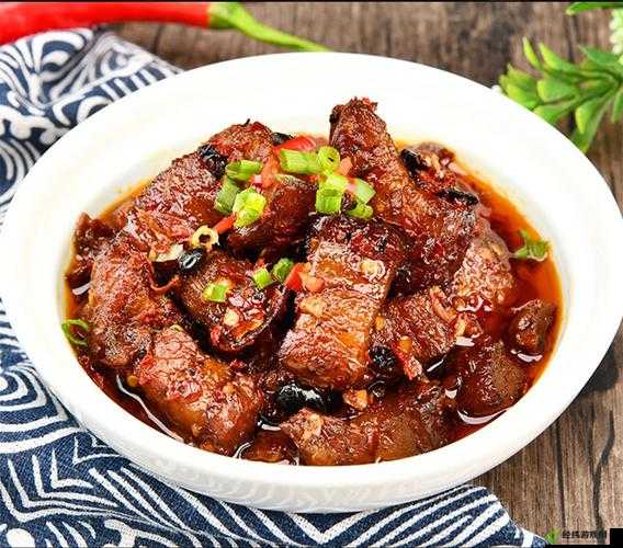 太子宠妾高肉：红烧肉包所讲内容