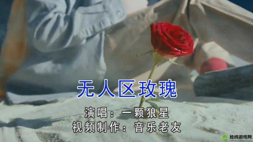 无人区玫瑰 MV ：一颗狼星相似之解析