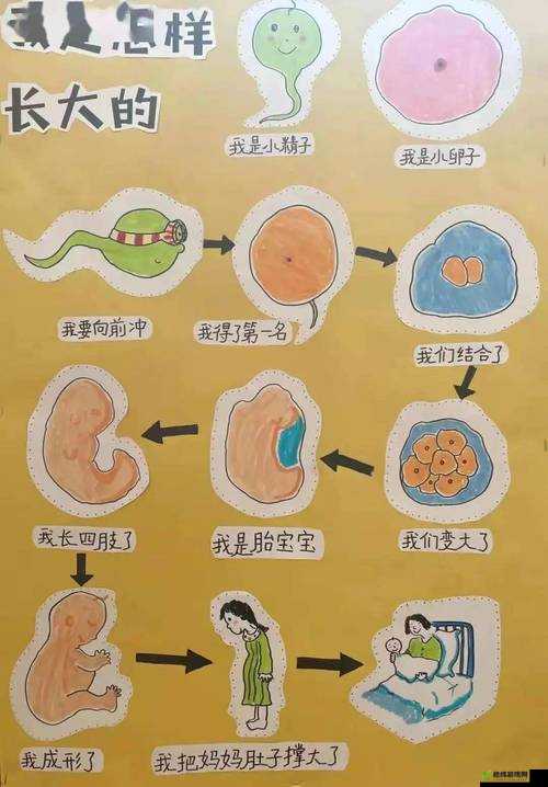 中医老王和小雨：探究祛毒的奥秘