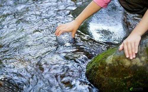 在野外用小雨伞拔萝卜好吗：一场独特的户外体验