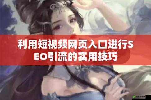 seo 短视频网页入口引流：吸引流量的秘诀