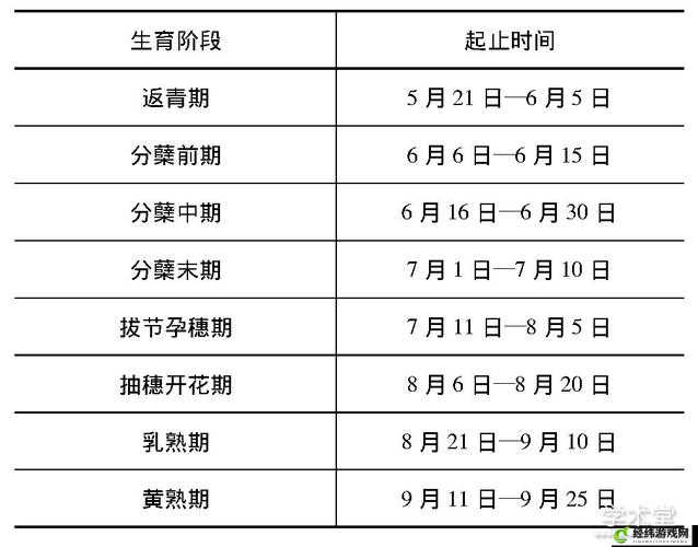 小奶娃灌溉记与普通版对比之差异探究