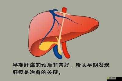 办公室强肝：是好事还是恶性探讨