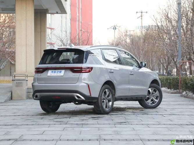 国产 SUV 精二区 69 引领 SUV 新潮流