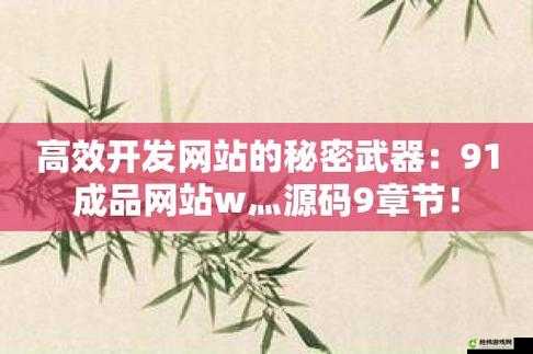 51成品网站W灬源码16：优质网站开发的秘密武器