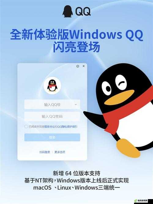 VPSWINDOWS 另类极品：全新体验来袭