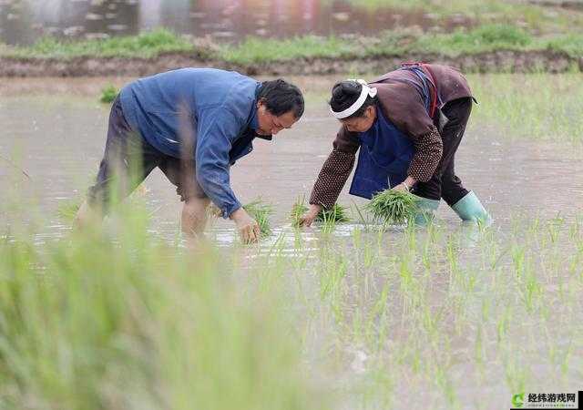 夫妻之间的 100 种插秧法：探索夫妻之间的和谐性福生活