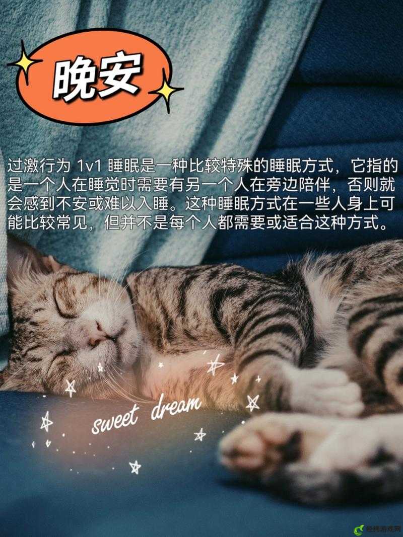 过激行为 1v1 睡眠对我重要吗