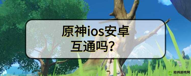 原神iOS与安卓能否联机游戏？