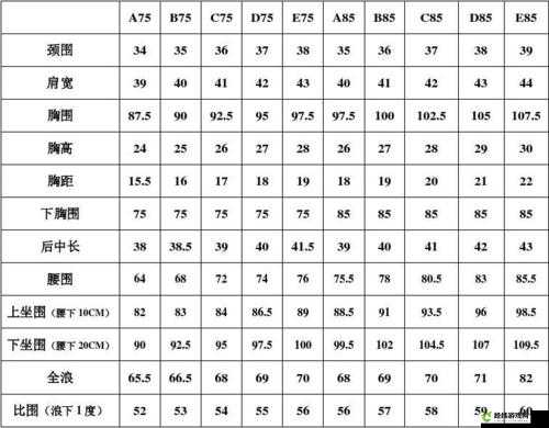 欧洲码欧洲尺码 M 高清：详细解读与应用