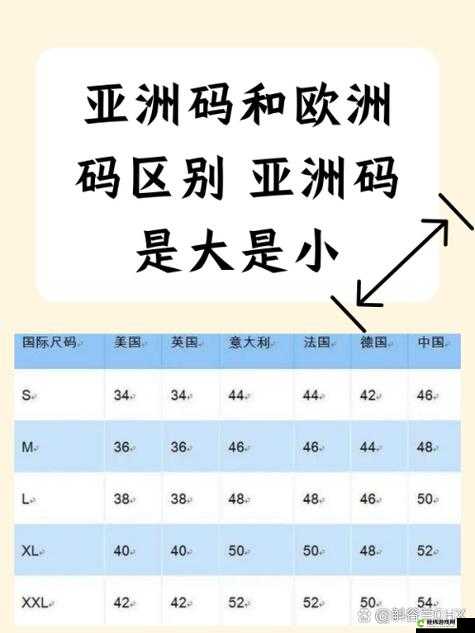 欧洲尺码与亚洲尺码差异分析：差异究竟在哪