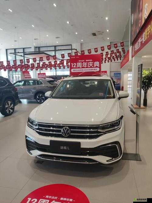 497799 欧洲版的国产 SUV：魅力无限