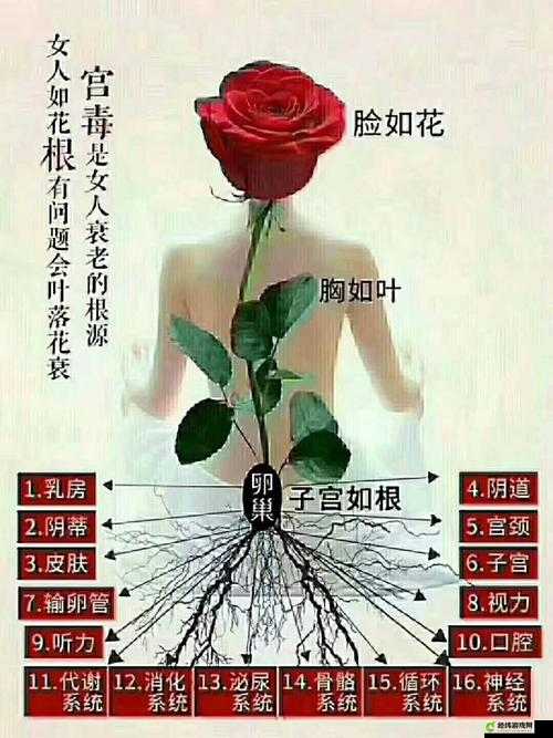 女人半夜莲花开是什么意思：解析其含义