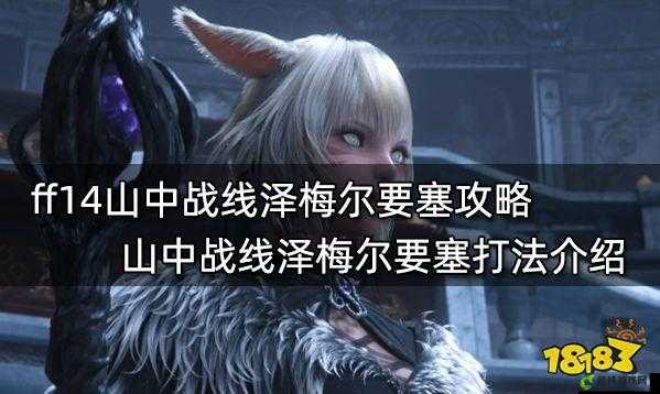 ff14山中战线泽梅尔要塞征战指南