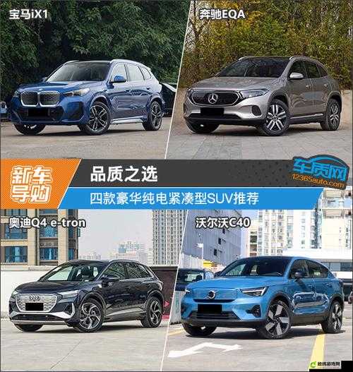 国产 SUV 精品一区二区四区三区：品质之选