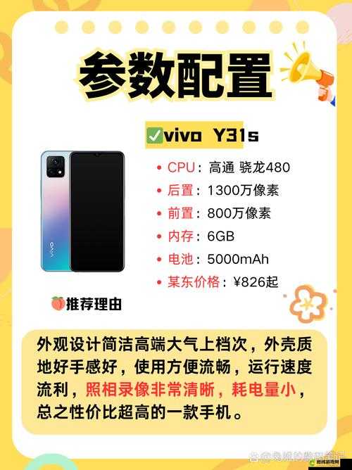 成色好的 y31s 标准版官网：品质之选