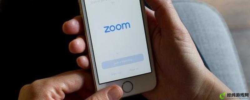 ZOOM 和 OKZOOM 区别：功能特点与适用场景