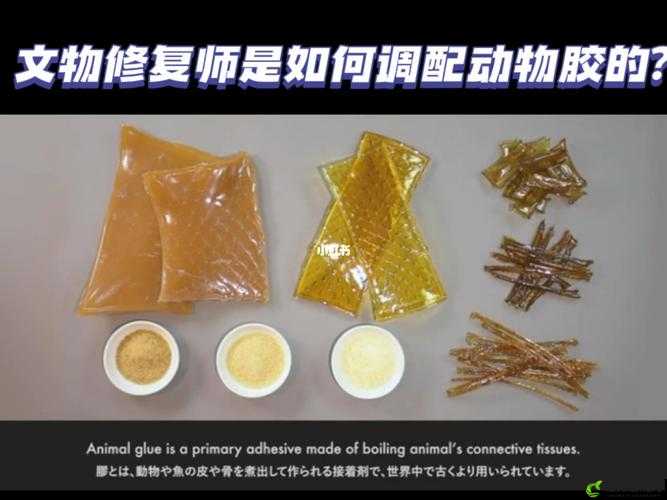 美国人与动物胶配方有几种：具体种类解析