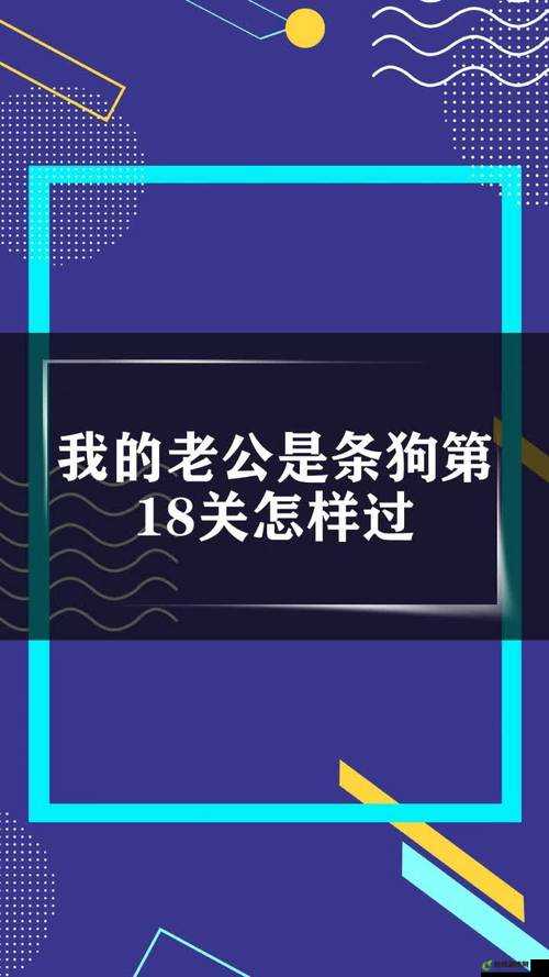 我的老公是条狗白珍丽山本一郎：一段奇异的情感故事