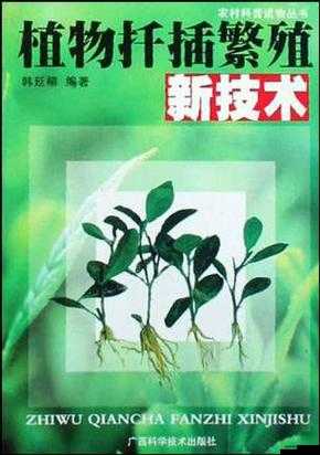 扦插 BB 技术最新优势与好处：操作简单、成本低、繁殖速度快