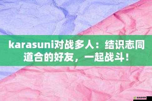 Karasuni 多人对战：精彩竞技之旅